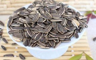 瓜儿吃瓜子视频,一场视觉盛宴的温馨回顾