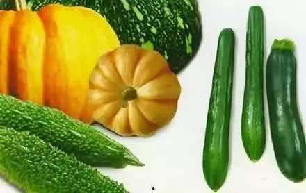 瓜怎样吃有营养,瓜类食材的营养吃法解析