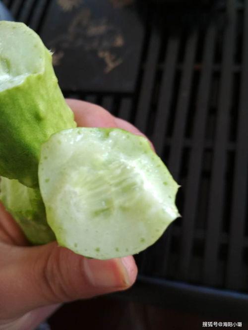 怀孕可以吃白玉瓜,白玉瓜助力母婴健康