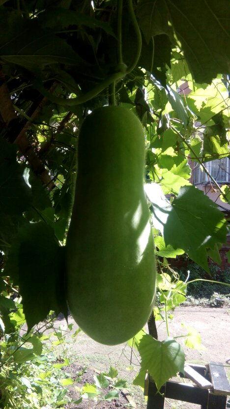 专业吃瓜人士,专业吃瓜人士带你领略幕后风云