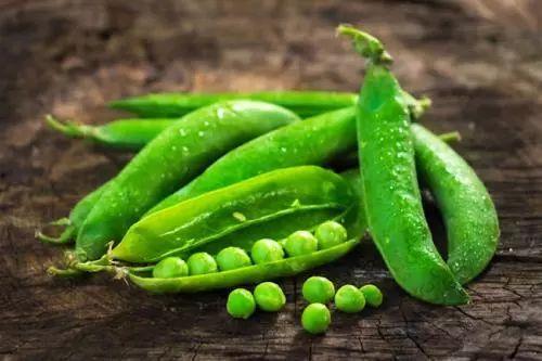 得瓜吃瓜得豆吃豆,得瓜吃瓜，得豆吃豆的智慧生活